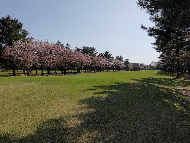 f:id:HKT1989:20230404134019j:image