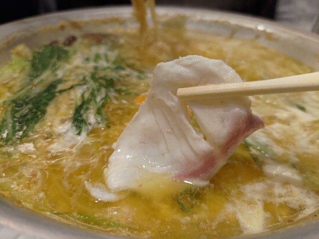 f:id:HKT1989:20230404135509j:image