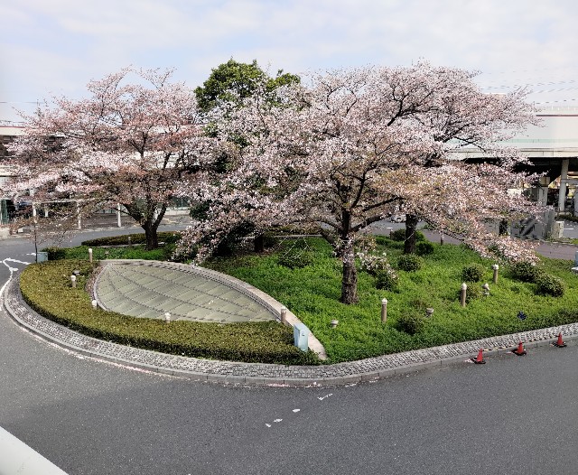 f:id:HKT1989:20230407133715j:image