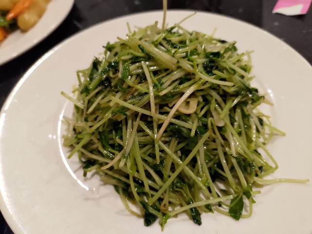 f:id:HKT1989:20230413092038j:image