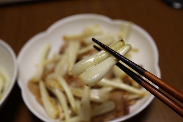f:id:HKT1989:20230427144444j:image