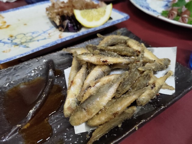 f:id:HKT1989:20230428125920j:image
