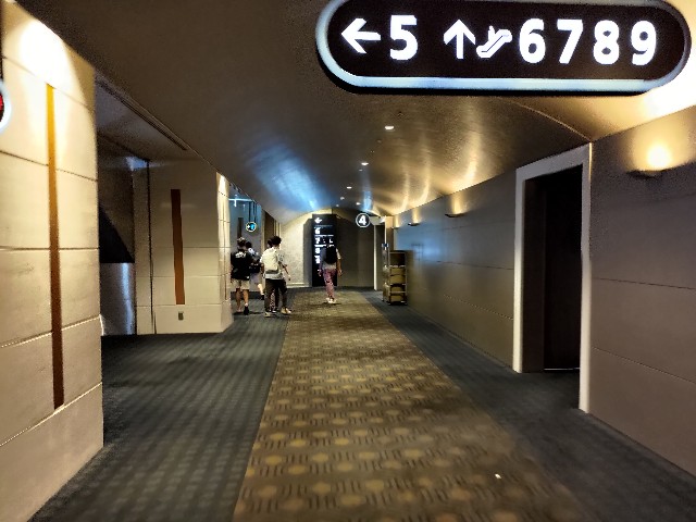 f:id:HKT1989:20230814130146j:image f:id:HKT1989:20230814130146j:image