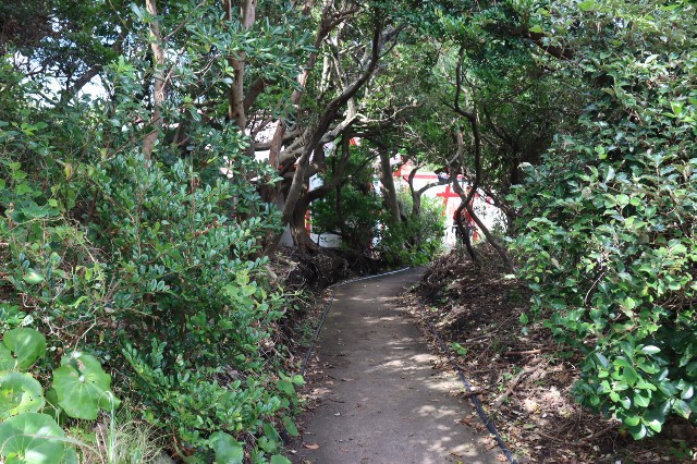 f:id:HKT1989:20230828062442j:image