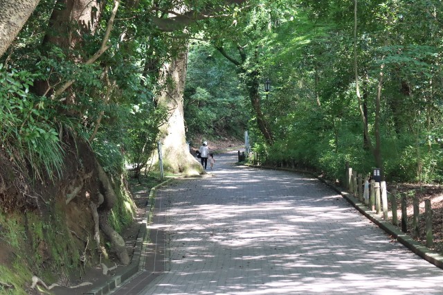 f:id:HKT1989:20230828064557j:image f:id:HKT1989:20230828064557j:image