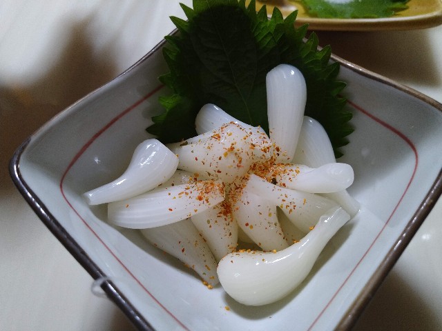f:id:HKT1989:20230830062940j:image