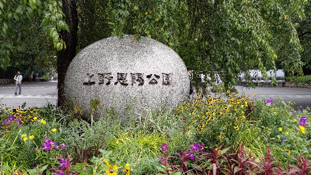 f:id:HKT1989:20231005171520j:image f:id:HKT1989:20231005171520j:image