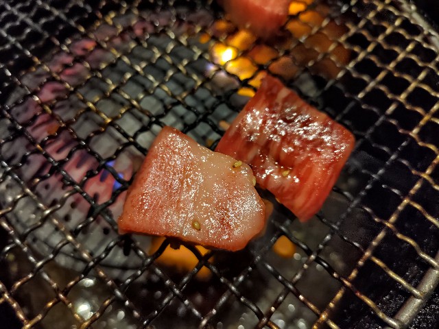 f:id:HKT1989:20240116142409j:image f:id:HKT1989:20240116142409j:image