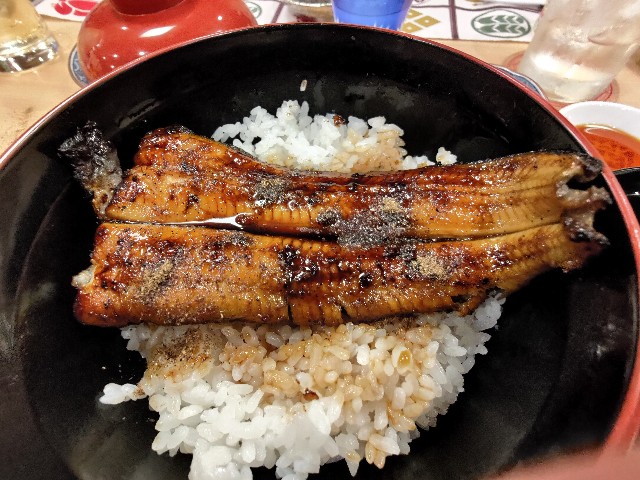 f:id:HKT1989:20240118080054j:image