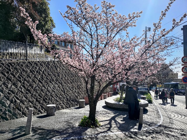 f:id:HKT1989:20240127092354j:image