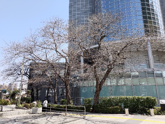 f:id:HKT1989:20240330215154j:image f:id:HKT1989:20240330215154j:image