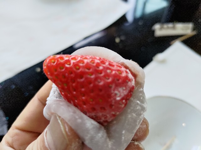 f:id:HKT1989:20240330215712j:image f:id:HKT1989:20240330215712j:image