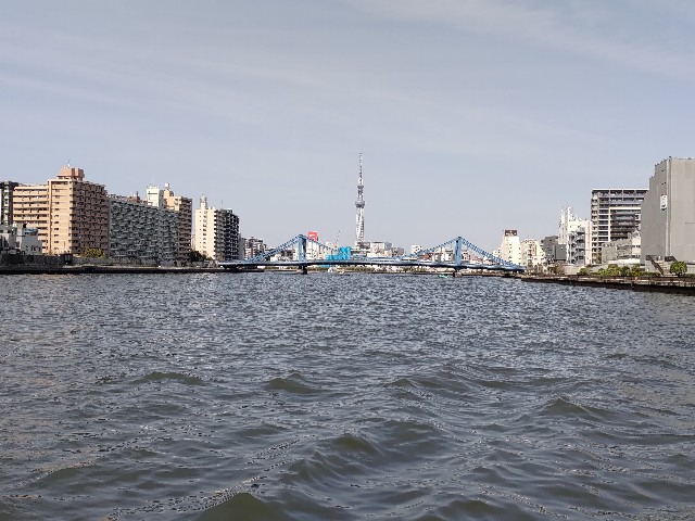 f:id:HKT1989:20240330215731j:image f:id:HKT1989:20240330215731j:image