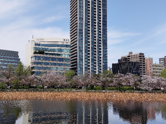 f:id:HKT1989:20240414011049j:image