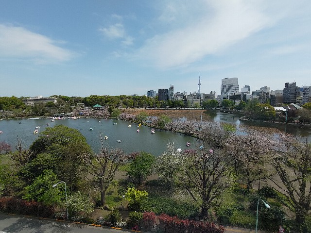 f:id:HKT1989:20240414011113j:image