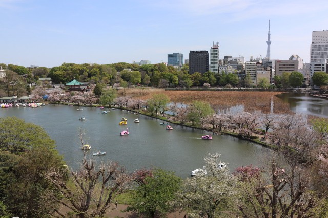 f:id:HKT1989:20240414011334j:image