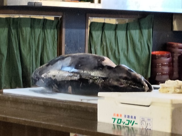 f:id:HKT1989:20240423084422j:image f:id:HKT1989:20240423084422j:image