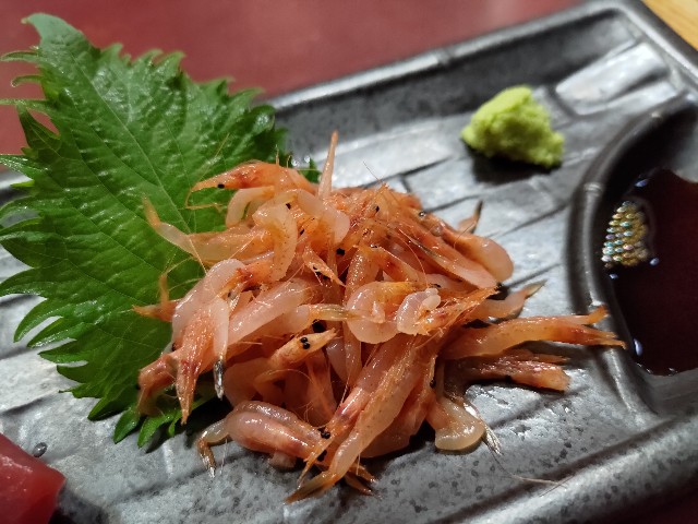 f:id:HKT1989:20240426063746j:image f:id:HKT1989:20240426063746j:image