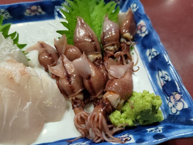 f:id:HKT1989:20240426063846j:image f:id:HKT1989:20240426063846j:image