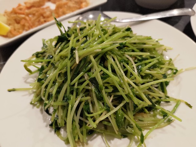 f:id:HKT1989:20240426175426j:image