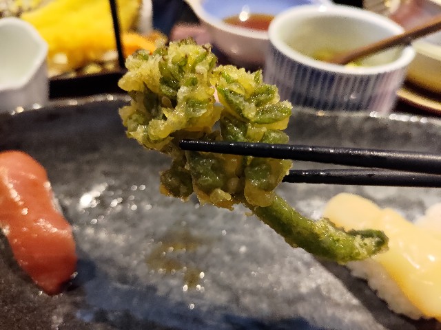 f:id:HKT1989:20240518063119j:image