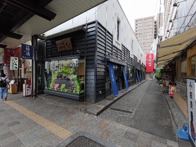 f:id:HKT1989:20240521063639j:image f:id:HKT1989:20240521063639j:image