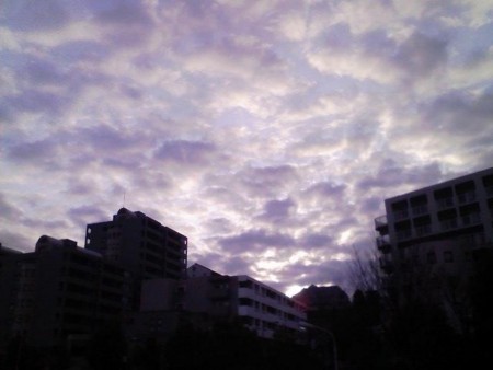 20120228082245