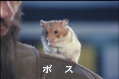 f:id:HOKUTOK:20220124020811j:plain