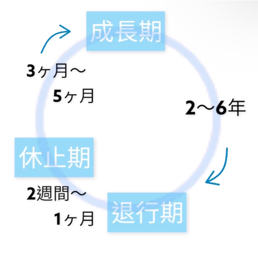 f:id:HONOKAORI:20221022095720j:image