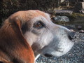 20040325111136