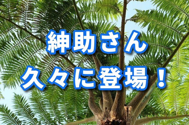 f:id:HR37:20200114034747j:plain f:id:HR37:20200114034747j:plain