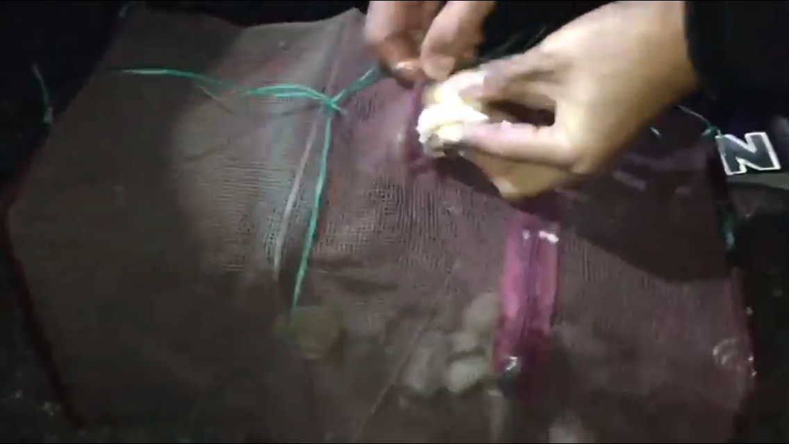 公園の桟橋の下にお魚キラーを一晩漬けこんだ結果 おっさんボーイズ