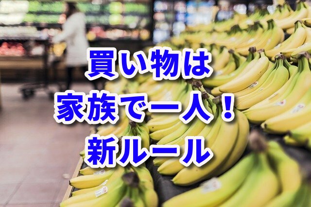 f:id:HR37:20200423053333j:plain