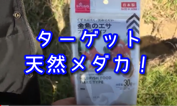 f:id:HR37:20200506053816p:plain f:id:HR37:20200506053816p:plain
