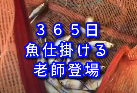 f:id:HR37:20200506055441p:plain f:id:HR37:20200506055441p:plain