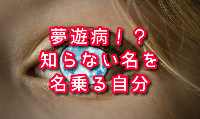 f:id:HR37:20200510013744j:plain