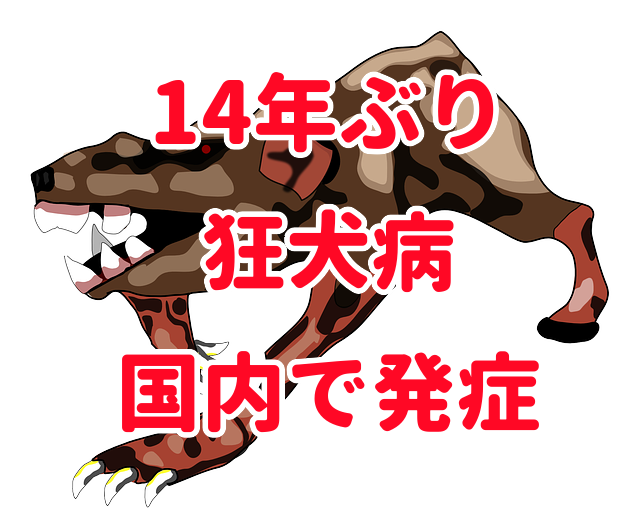f:id:HR37:20200523022252p:plain