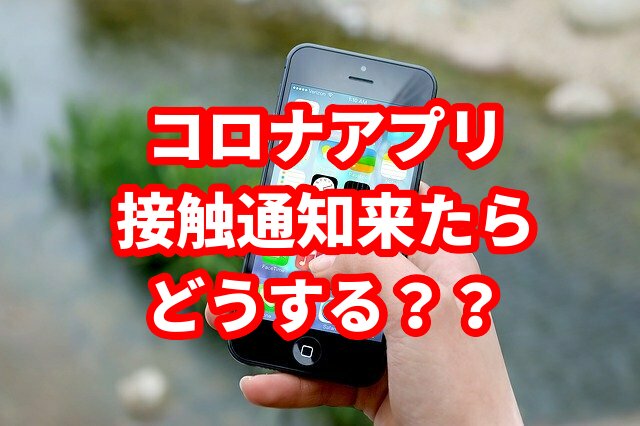 f:id:HR37:20200620202801j:plain f:id:HR37:20200620202801j:plain