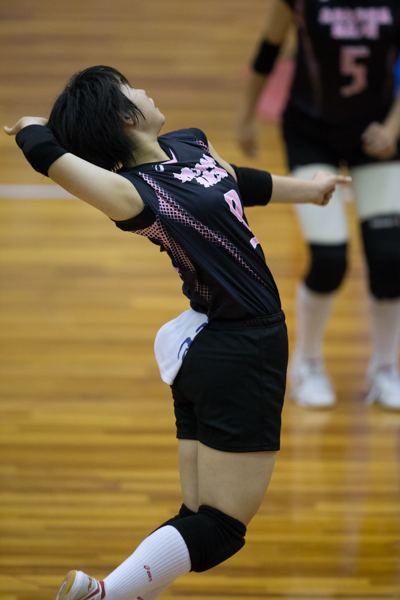 春高バレー兵庫予選決勝 日ノ本学園vs須磨ノ浦 クローバー