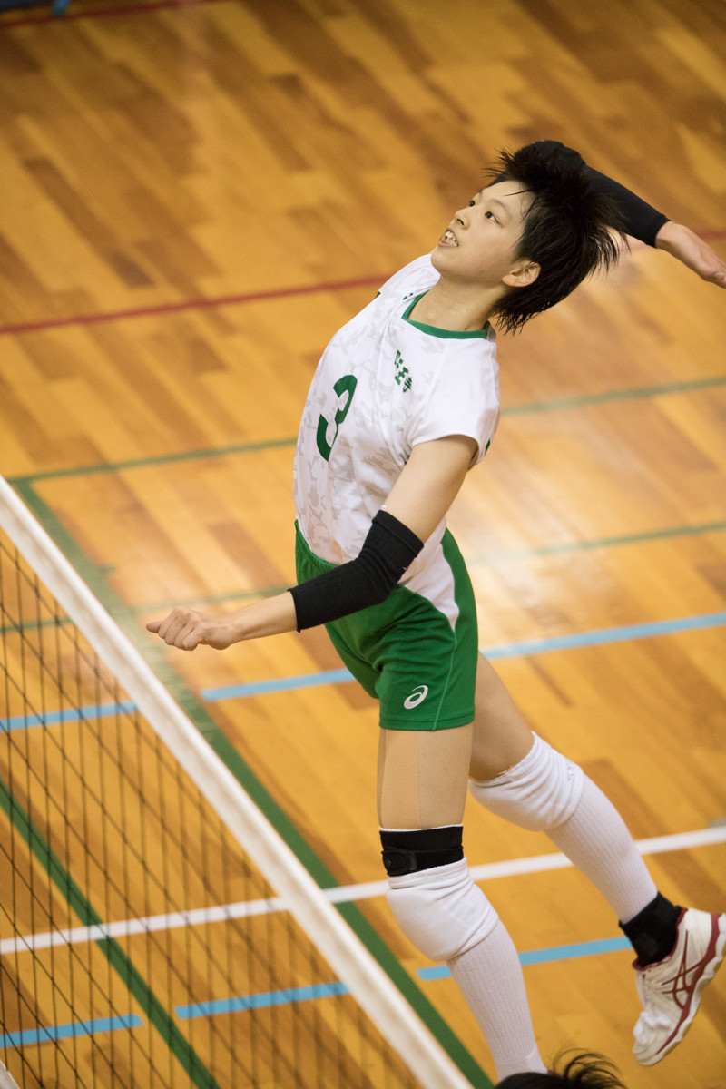 大阪インハイ予選 四天王寺高校 クローバー