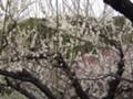 20080223140335