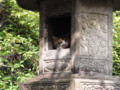 20080906134225