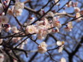 20090203124738