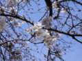 20090328134750