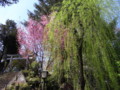 20090329135938