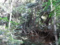20091107144023