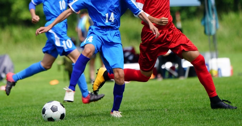 f:id:HRenma:20200515122039j:image f:id:HRenma:20200515122039j:image