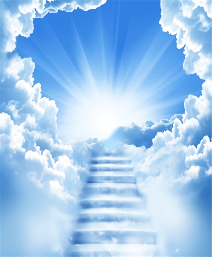 f:id:HRenma:20200519021549j:image f:id:HRenma:20200519021549j:image