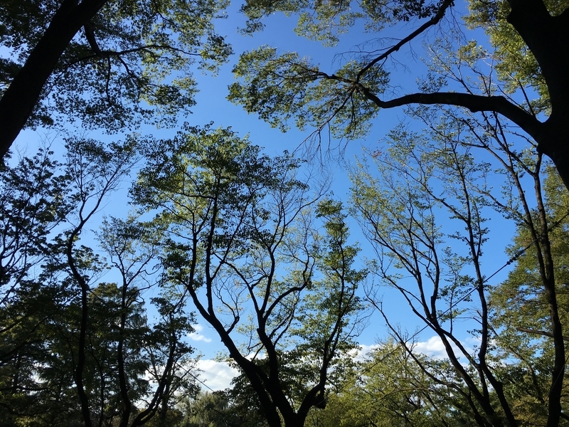 f:id:HS0879:20181007152703j:image:w360:left f:id:HS0879:20181007152703j:image:w360:left