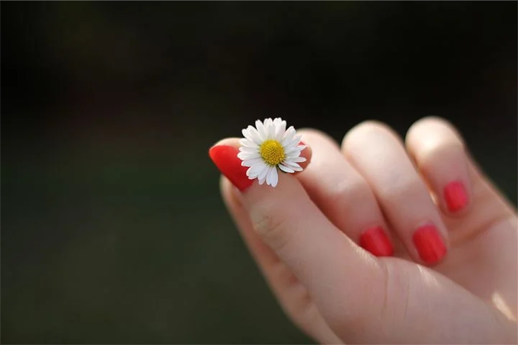 f:id:HSPkun:20201118144604j:image f:id:HSPkun:20201118144604j:image